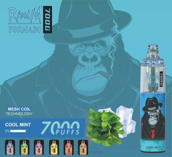 RandM Tornado 7000 õhuvoolu reguleeriv vape seade 1tk 2X4T164 RandM vape flavors lahe piparmünt