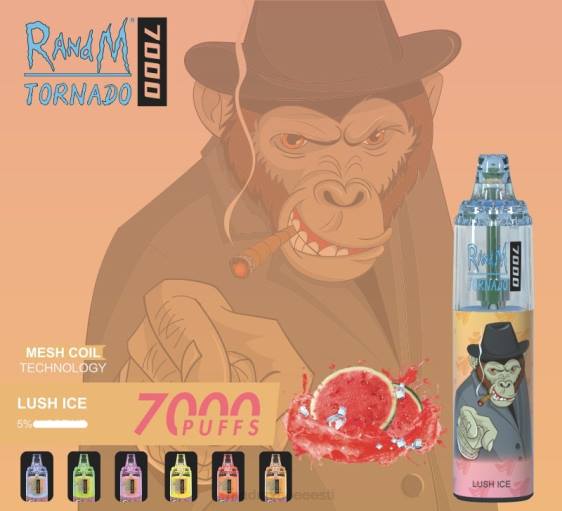 RandM Tornado 7000 õhuvoolu reguleeriv vape seade 1tk 2X4T165 RandM disposable vape lopsakas jää